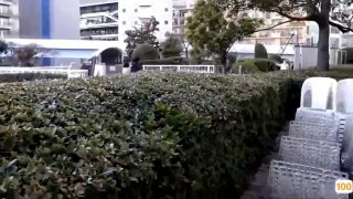 欧美伦理电影本能_欧美亚洲精品成人视频